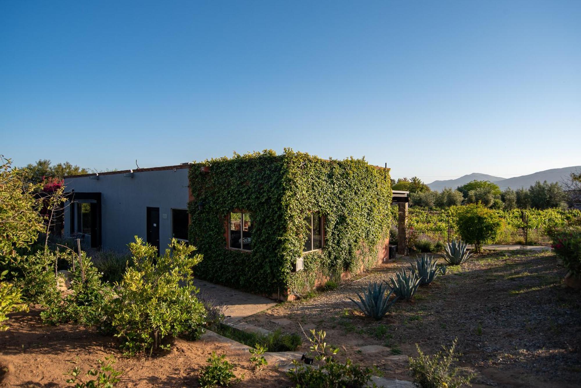 Atika Retreat Hotell Valle de Guadalupe Eksteriør bilde